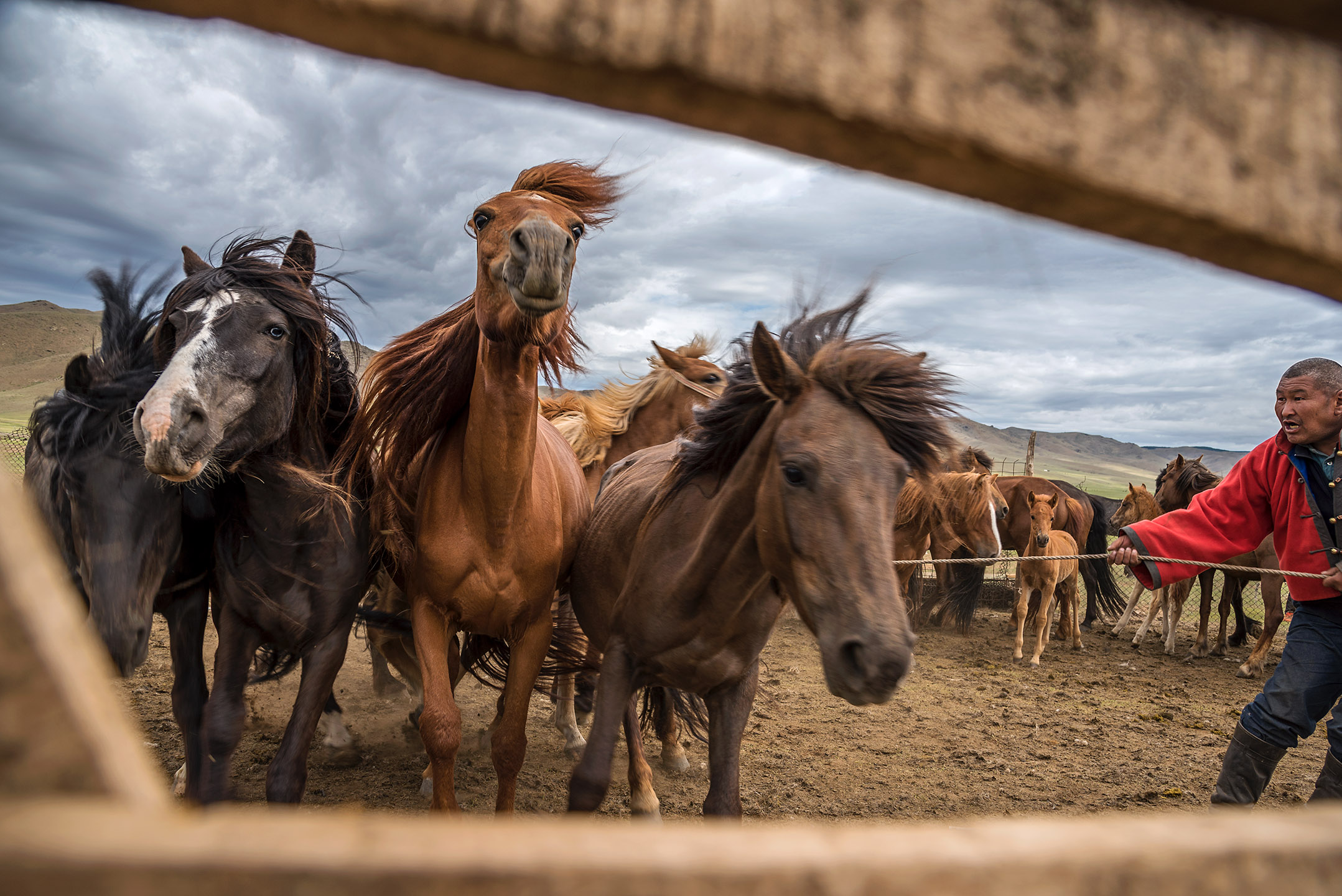 SCOTT A WOODWARD_SWA5789 (Mongolia)