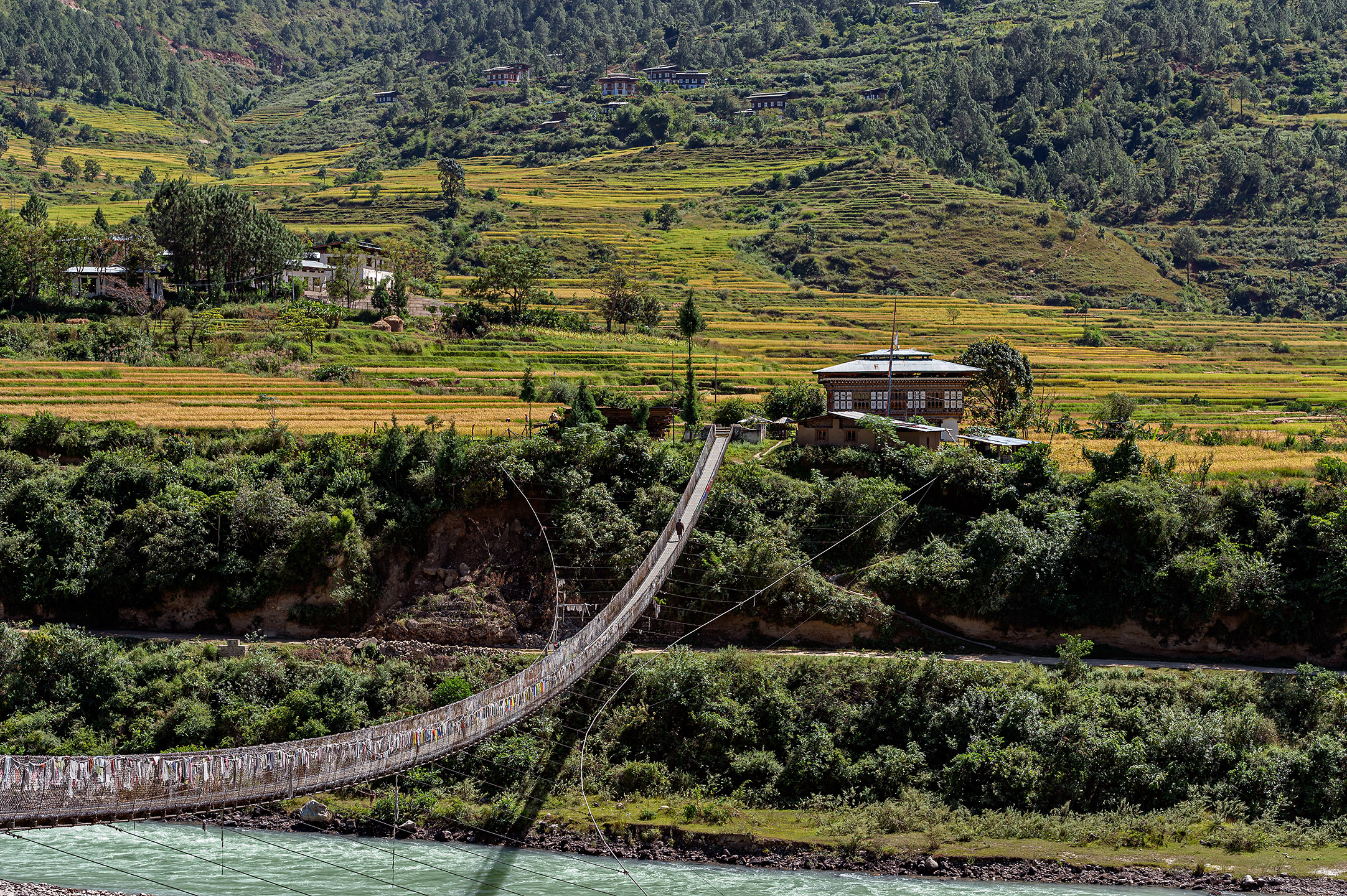 SCOTT A WOODWARD_DSC1691 (Punakha)