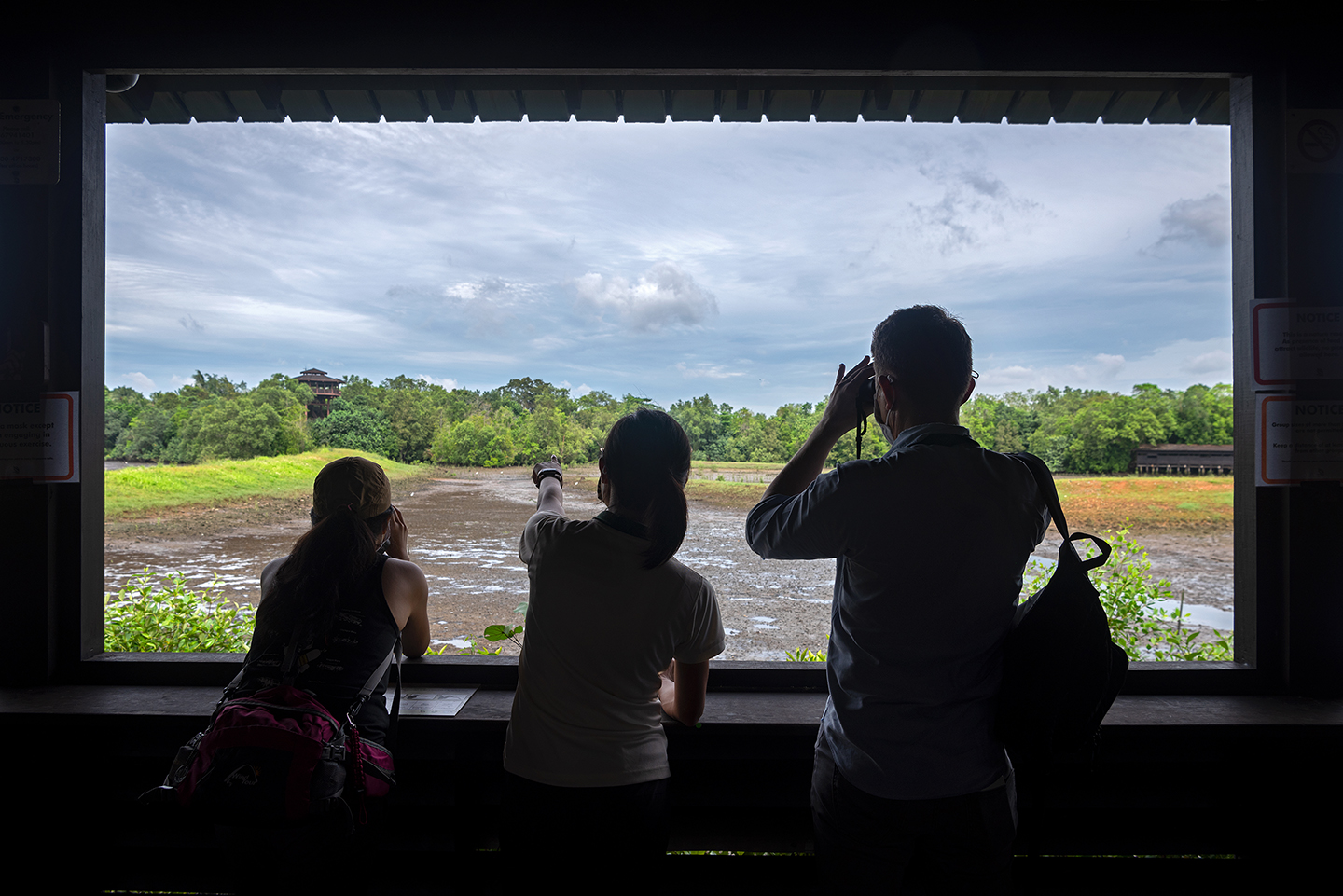 There are numerous bird hides overlooking the central tidal pools.