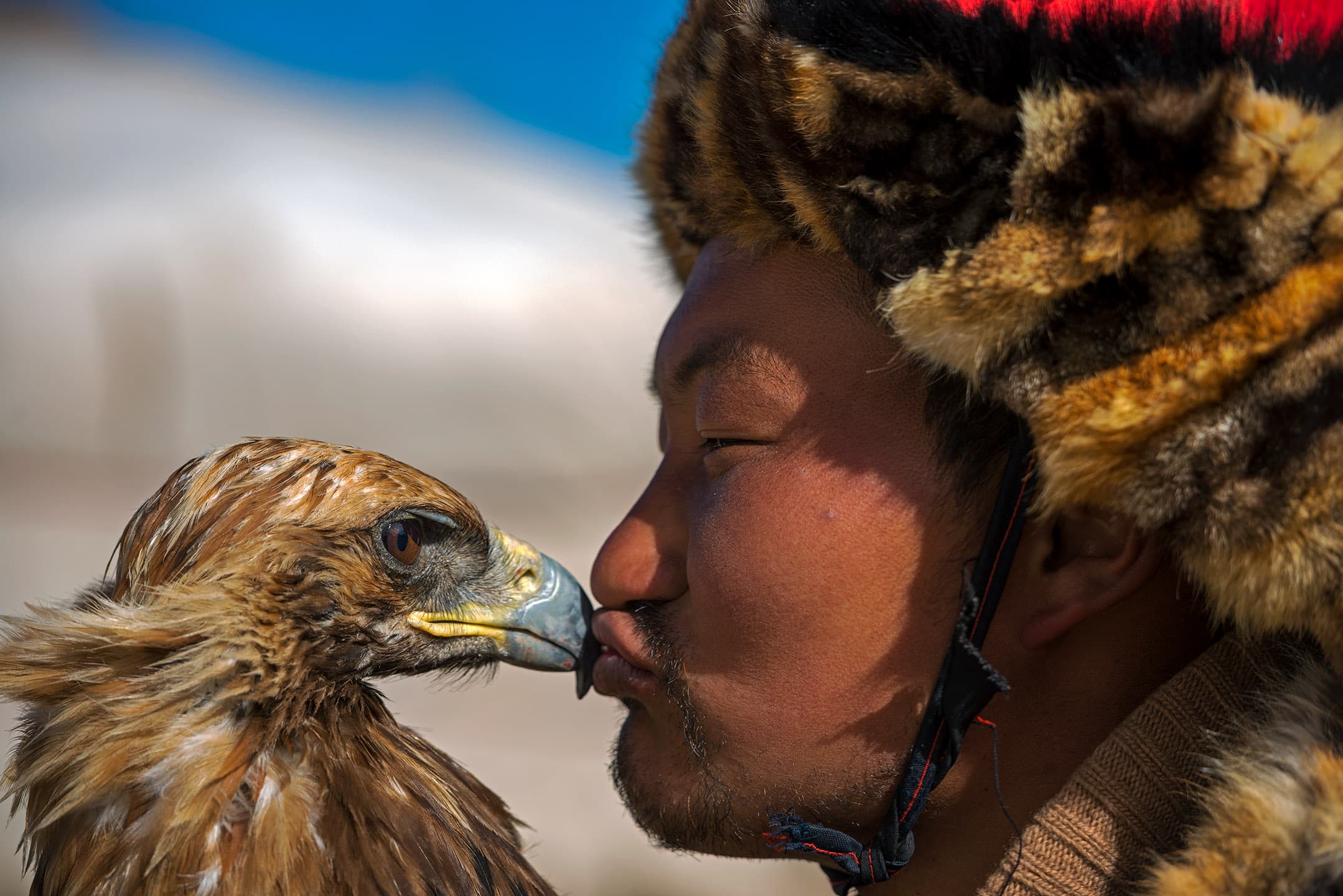 Alpamys Dalaikhan, a burkitshi (eagle hunter) kisses his eagle, illustrating the extraordinary bond that is created between the burkitshi and his bird in Bayan-Ölgii Province in western Mongolia on September 29, 2017.  Alpamys was in Bayan-Ölgii for the Golden Eagle Festival, an annual gathering and celebration of the burkitshi.  Alpamys posed for this portrait at the request of the photographer.